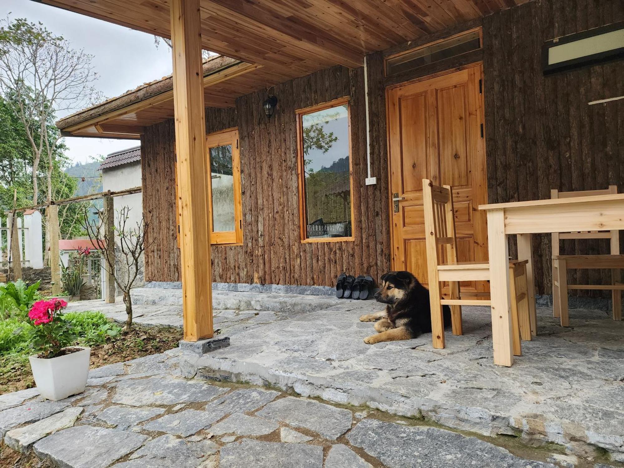 Huy Trung Homestay บัคฮา ห้อง รูปภาพ