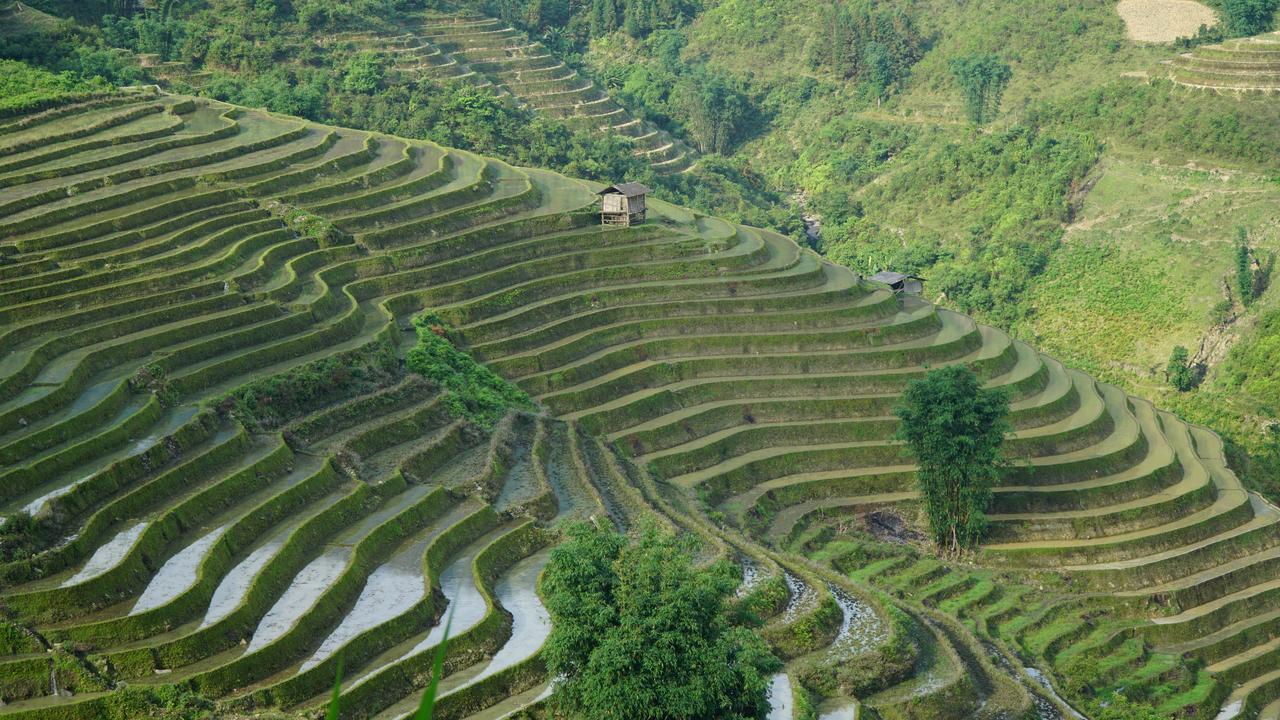 Huy Trung Homestay บัคฮา ภายนอก รูปภาพ