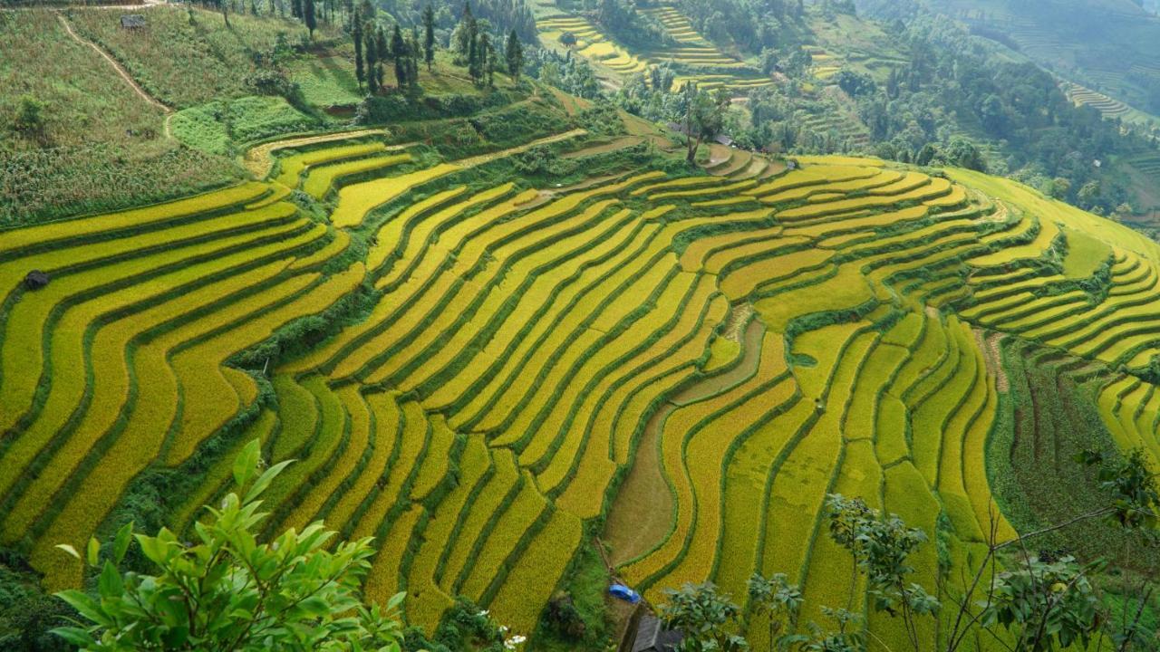 Huy Trung Homestay บัคฮา ภายนอก รูปภาพ
